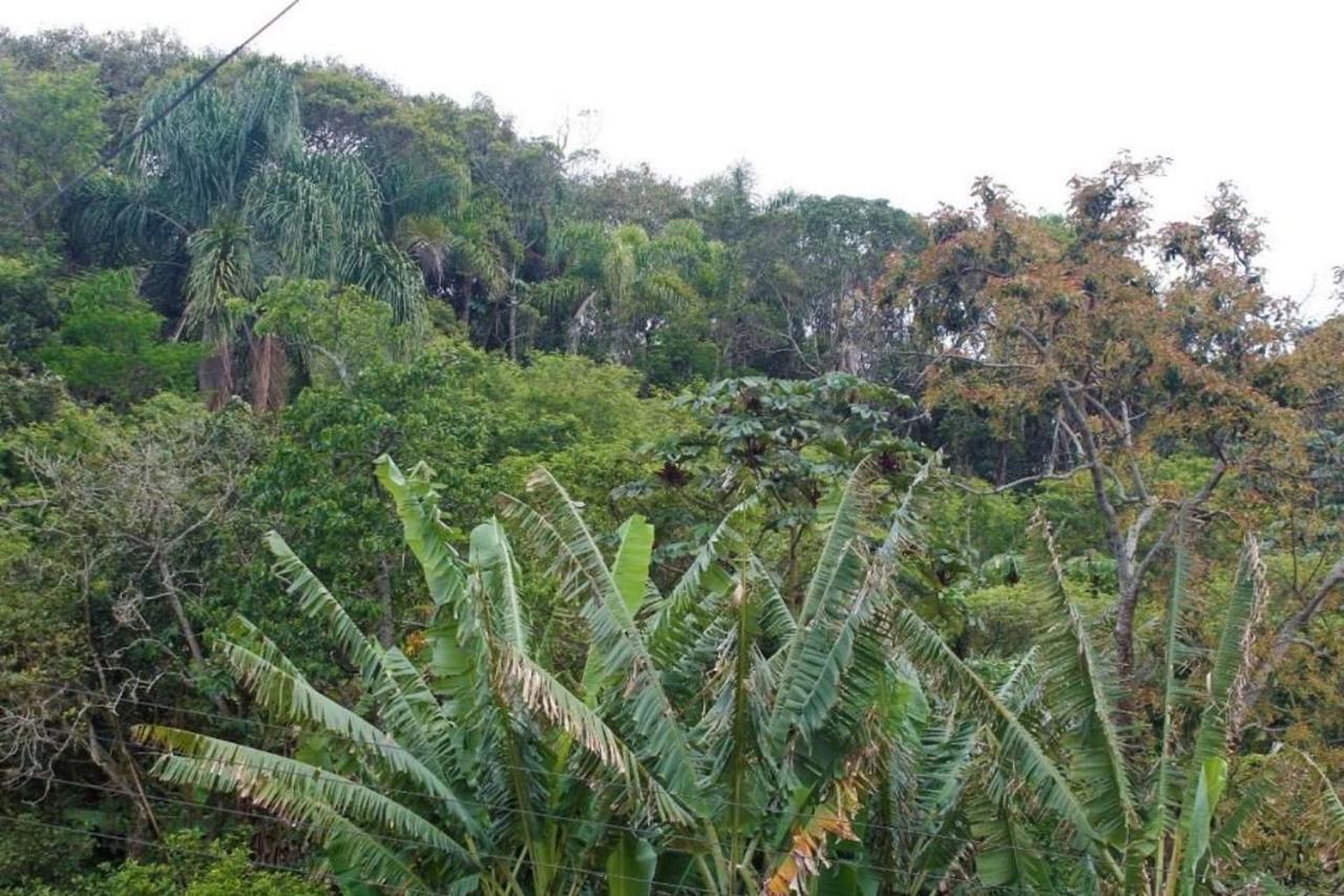 Сasa de vacaciones Inteiro 3 Quartos No Solar Bromelias Bombinhas